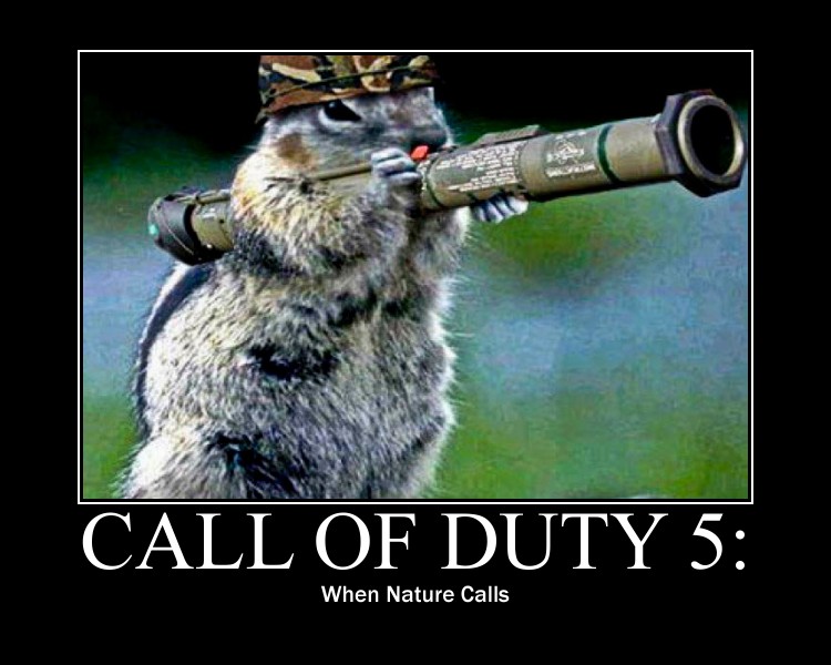 call of duty 8 2011. The Next #39;Call of Duty#39; Game